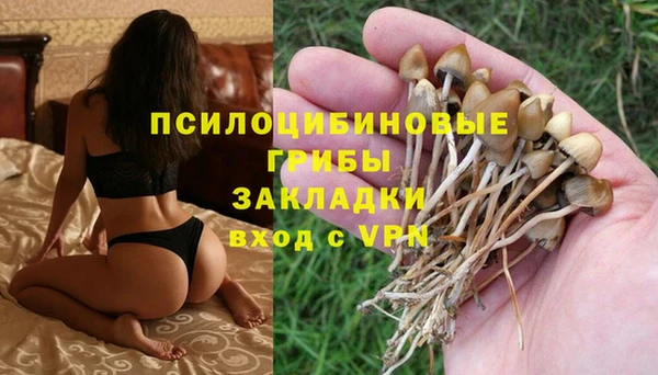 винт Пролетарск