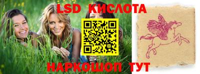 индика Новодвинск
