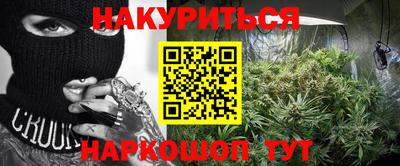 сатива Новозыбков