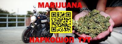 индика Новодвинск