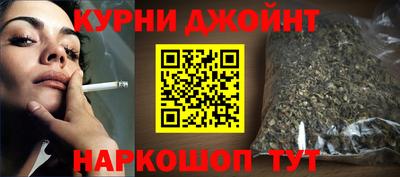индика Новодвинск