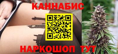 индика Новодвинск