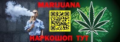 индика Новодвинск