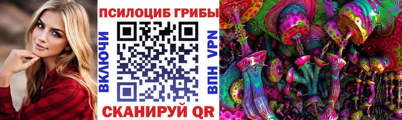 купить наркоту  Рославль  Псилоцибиновые грибы прущие грибы 